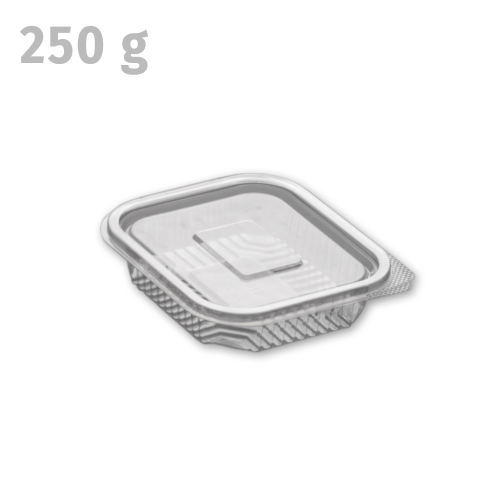 კონტეინერი / ერთჯერადი 250 გრ - Image 2
